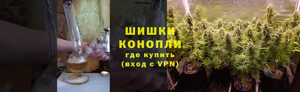 PSILOCYBIN Алексин