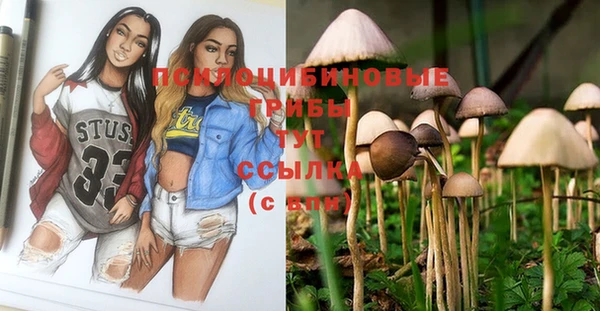 PSILOCYBIN Алексин